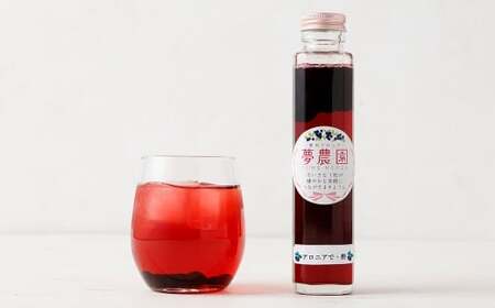 アロニアで・酢 170g×3本 計510g 国産 飲む お酢 アロニア 希釈