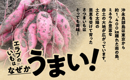 erabu chips （ さつまいも ） 18箱 セット C068-002-18 ポテトチップス 菓子 お菓子 アレルゲンフリー