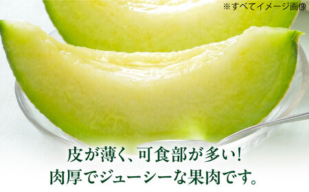 メロン【2026年6月中旬から順次発送】タカミメロン 2から3玉　愛媛県大洲市/西山青果　[AGAR022]
