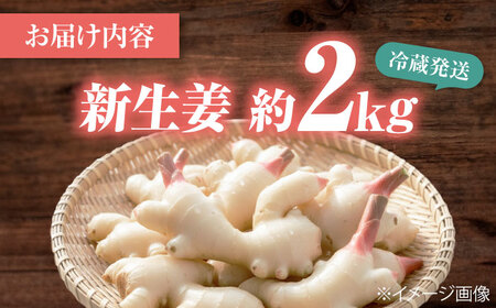【先行予約】【6月下旬から順次発送】 新生姜 2kg 愛媛県大洲市/株式会社誠実村[AGER003]