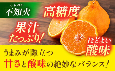 【順次発送中】【訳あり】 柑橘の王様 ハウス栽培 不知火 デコポン 約3kg（7～12玉） 【小春農園】[ZBN008]