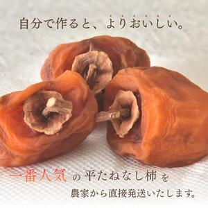 甘さが違う！とっても甘くなる生渋柿（平たねなし柿）吊るし柿用 T字枝or吊るしクリップ付 約2.5～3kg 約9～18個 １０月下旬～順次発送【art040】
