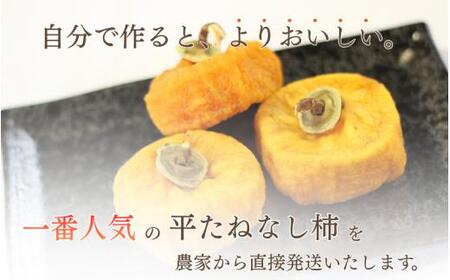 【県認定エコファーマー】甘さが違う！とっても甘くなる生渋柿（平たねなし柿）あんぽ柿用 T軸枝無 約2.5〜3kg 約9〜18個 １０月下旬〜順次発送(日付指定不可)-AP【art041】