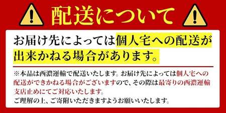 コントラバス BS-70 コントラバス 日本メーカー 音楽 弦楽器 楽器 【uj-BM002-G】【ヒガシ絃楽器製作所】