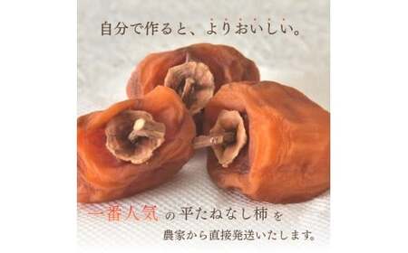 甘さが違う！とっても甘くなる生渋柿（平たねなし柿）吊るし柿用 T字枝or吊るしクリップ付 約2.5～3kg 約9～18個 １０月下旬～順次発送）(日付指定不可) -Ted【art040A】