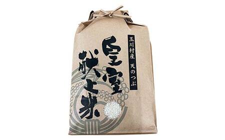 令和7年度産 新米 玉川天のつぶ 10kg 福島県玉川村産 こめ コメ オリジナルブランド米 FT18-275