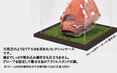 グローブケース額 人工芝仕様 CFオーク 野球 グローブ ケース コレクションケース アクリルケース 展示用 額 グローブケース 額 野 スポーツグッツ ギフト サイングローブ 記念品 思い出 贈り物 贈答 プレゼント FS-809