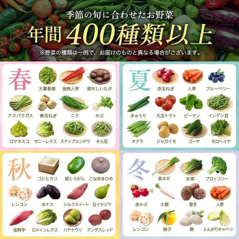安芸高田市の小さな農家がお届けするふるさと旬野菜セット 野菜類 詰合せ やさい 