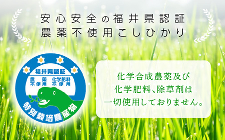 【中日賞受賞】農薬不使用 特別栽培米コシヒカリ5kg【精米】 福井県認証区分1取得「田んぼの天使」 [e10-b008]