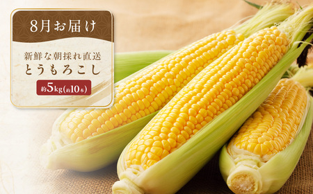 【定期便】旬の農産物定期便 年3回お届け ABAO2211 | 野菜 定期便