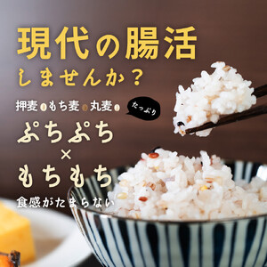 麦の恵み24穀米ブレンド 4kg(800g×5袋)