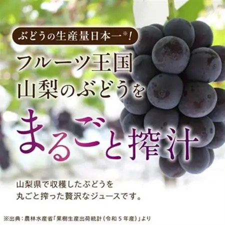 【2026年発送】ぶどうジュース 1000ml 2本 食べる感覚【無添加・無糖】100%ストレート【配送不可地域：離島】【1210537】