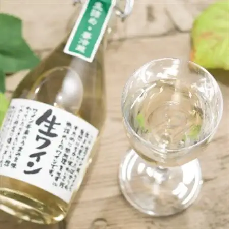【要冷蔵】生ワイン　白　500ml【配送不可地域：離島】【1214752】