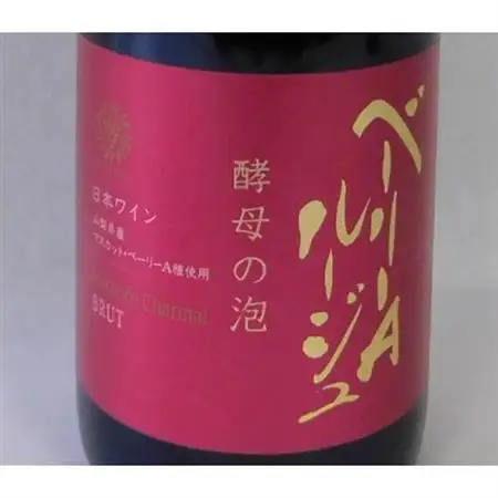 山梨県産ベーリーA種から造った辛口赤のスパークリングワイン【マンズワイン】【配送不可地域：離島】【1217898】