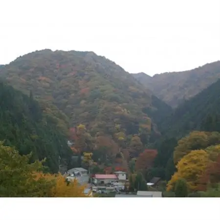 金剛山麓ポークウィンナー【配送不可地域：離島】【1276450】