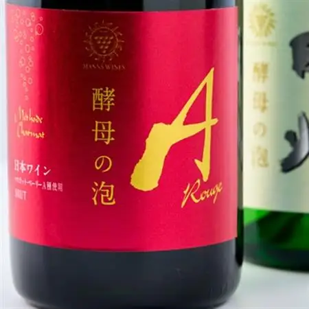山梨県産ベーリーA種と甲州種から造った辛口スパークリングワイン2本セット【マンズワイン】【配送不可地域：離島】【1217900】