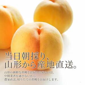 もも ( きららの極み ) 2kg フルーツ 果物 山形 08-10-004