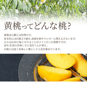 もも ( 黄貴妃 ) 2kg フルーツ 果物 山形 08-10-007