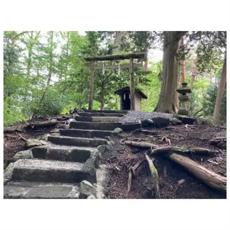 【世界遺産富士山】富士講の歴史をたどる富士山吉田口登山道ガイド付トレッキングツアー参加券(ペア)【配送不可地域：離島】【1240603】