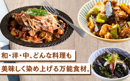 なす 2kg(20個以上) なす ナス 茄子 野菜 | 石川県 小松市 JAあぐり