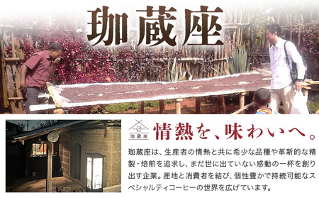 数量限定 石蔵 ドリップパック アデナ 2個プロセス飲みくらべセット 限定ノベルティ付き 珈蔵座《30日以内に出荷予定(土日祝除く)》ジュナ ナチュラル セリネン ハイブリッドウォッシュ コーヒー 飲み比べ カフェ 千葉県 流山市 送料無料