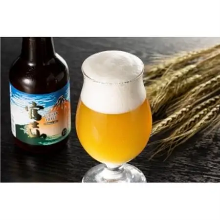 富士山クラフトビール「Golden Ale」「Saison」セット【配送不可地域：離島】【1288306】