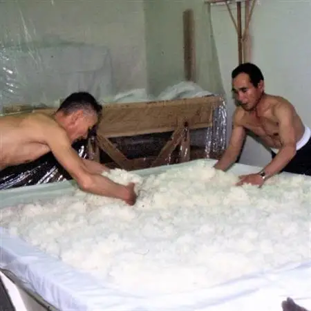 榊正宗 特別本醸造 辛口 1,800ml【配送不可地域：離島】【1296446】