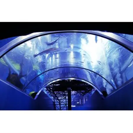 森の中の水族館。年間パスポートとオリジナルグッズ【配送不可地域：離島】【1308751】