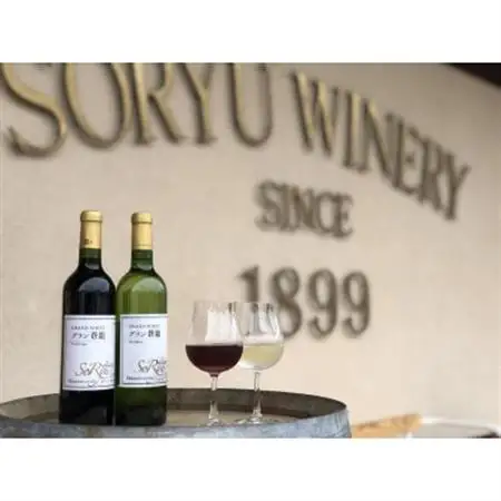山梨県よりお届け「蒼龍葡萄酒」の定番ワイン赤白2本セット(720ml×2本)【配送不可地域：離島】【1312547】