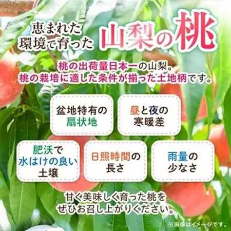 日本一の桃の里 山梨よりもぎたてを直送!山梨県オリジナル品種「夢みずき・夢しずく」1.5キロをお届け【配送不可地域：離島】【1381399】