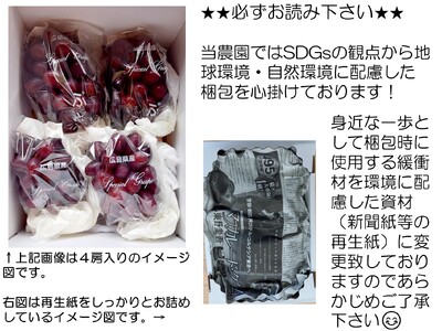 皮ごと食べられるクイーンセブン 約1kg(3～5房)【先行予約・数量限定】カナダ人農園主 ぶどう ブドウ マスカット クイーンセブン フルーツ 果物 くだもの 極甘 果肉 デザート 産地直送 世羅 ラピアビンヤード【2026年8月下旬以降順次発送】 A021-06