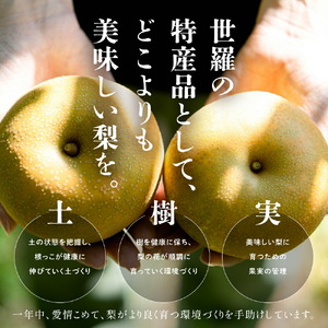 幸水梨 ご自宅用 約5kg【先行予約・数量限定】世羅 幸水農園 幸水 梨 せら なし フルーツ 果物 くだもの 甘い 果汁 ジューシー デザート 産地直送 JGAP認証 新鮮【2026年8月中旬以降順次発送】 A005-01