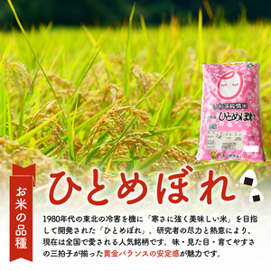2ヶ月 定期便 米 5kg ひとめぼれ 米