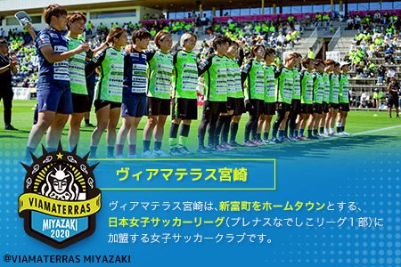 活動支援 ヴィアマテラス宮崎 10,000,000円 スポーツ 支援 S29-08