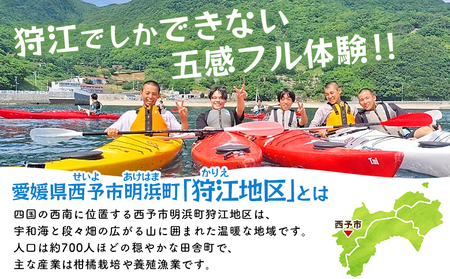 ＜狩江地区田舎暮らし体験チケット（10,000円分）＞ 田舎 体験 自然 旅 旅行 トラベル 観光 レジャー アウトドア アクティビティ Eバイク 家業体験 収穫 漁業 農業 料理体験 郷土料理 特産品 かりエンジョイ 愛媛県 西予市『4月以降に発送開始』 AKK0003