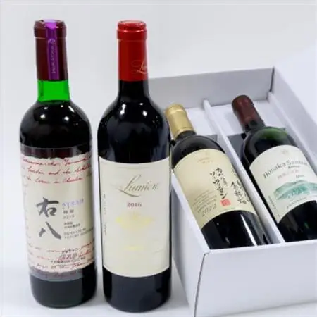 「ワイン県やまなし」が贈る!個性異なるフルボディ赤ワイン4本セット(720ml×1、750ml×3)【配送不可地域：離島】【1430445】