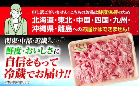 【3回定期便】 ※冷蔵配送/地域限定※ 飛騨牛 小間切 (大) 500g×2セット 瑞浪市 / きなぁた瑞浪 和牛 国産 岐阜県産[AZCI071]