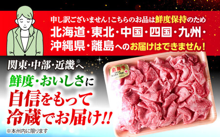【3回定期便】 ※冷蔵配送/地域限定※ 飛騨牛 切落し (ロースまたは肩ロース) 600g 瑞浪市 / きなぁた瑞浪&nbsp;和牛 国産 岐阜県産[AZCI077]