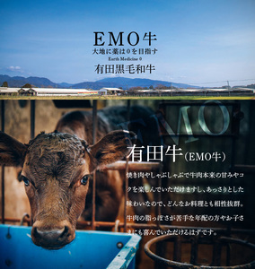 黒毛和牛高級部位　ヒレ肉　ブロックサイド不揃　サイコロステーキ　500ｇ K20_0014_2