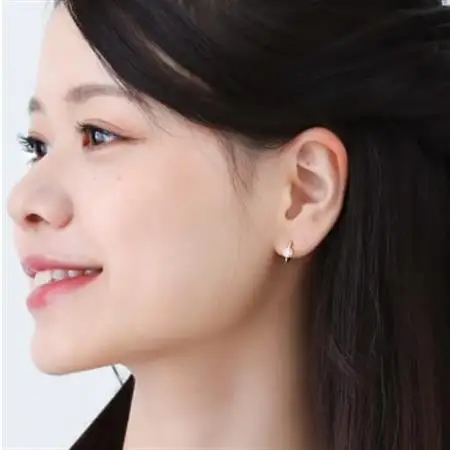 【山梨県】【ジュエリー】K18 Pave/パヴェ ピアス【配送不可地域：離島・沖縄県】【1452840】