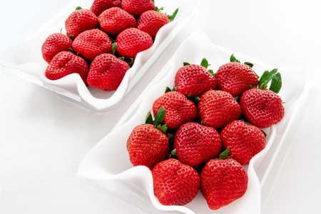 いちご あまおう 270g 4p 計約1kg【12月発送】[hurrah. 福岡県 宇美町 um40bjm200002]