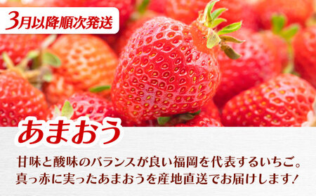 【全3回定期便】九州・福岡もぎたて フルーツ定期便 B　桂川町/一般社団法人地域商社ふるさぽ[ADCF018]