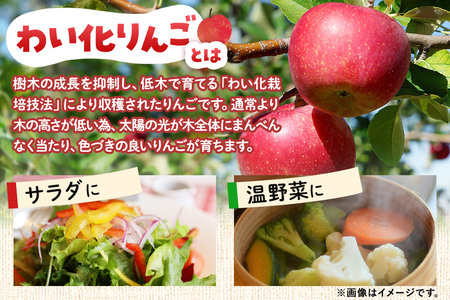 りんご酢ドレッシング 100g×2本セット