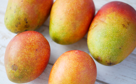 マンゴー【2026年夏発送】もとぶ町産マンゴー（家庭用）約1kg詰め フルーツ 