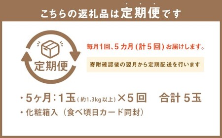 【5ヶ月定期便】 静岡県産高級 アローマメロン 白等級 約1.3kg以上×中玉1玉 （合計5玉） ／ 5回定期便 メロン 青肉メロン 中玉 果物 果実 フルーツ 定期便 静岡県 菊川市 常温
