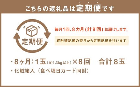 【8ヶ月定期便】 静岡県産高級 アローマメロン 白等級 約1.3kg以上×中玉1玉 （合計8玉） ／ 8回定期便 メロン 青肉メロン 中玉 果物 果実 フルーツ 定期便 静岡県 菊川市 常温