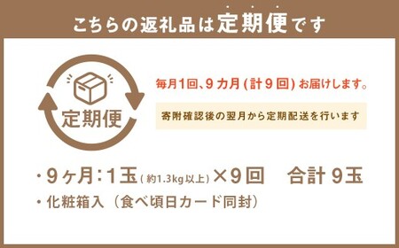 【9ヶ月定期便】 静岡県産高級 アローマメロン 白等級 約1.3kg以上×中玉1玉 （合計9玉） ／ 9回定期便 メロン 青肉メロン 中玉 果物 果実 フルーツ 定期便 静岡県 菊川市 常温