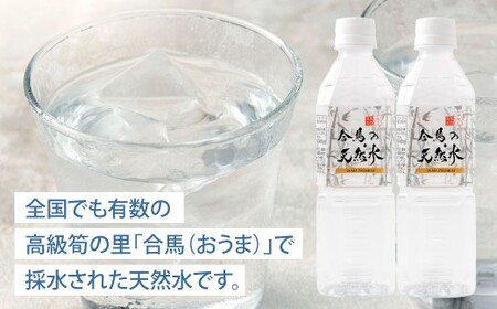 合馬の天然水 500ml 1ケース（24本入り×1箱） 天然水 水 みず ミネラルウォーター 軟水 鉱水 ペットボトル 常温 福岡県 北九州市