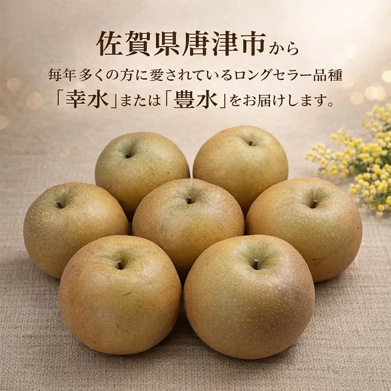 『先行予約』【令和8年7月上旬より順次発送】唐津産 梨 5kg【旬の味覚】幸水 豊水