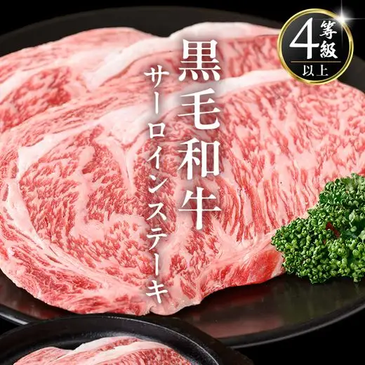 i1331 鹿児島県産 黒毛和牛 サーロインステーキ (計約500g・約170g×3枚) 国産 九州産 鹿児島産 黒毛和牛 牛肉 国産牛 サーロイン ステーキ 冷凍配送 【スターゼン】